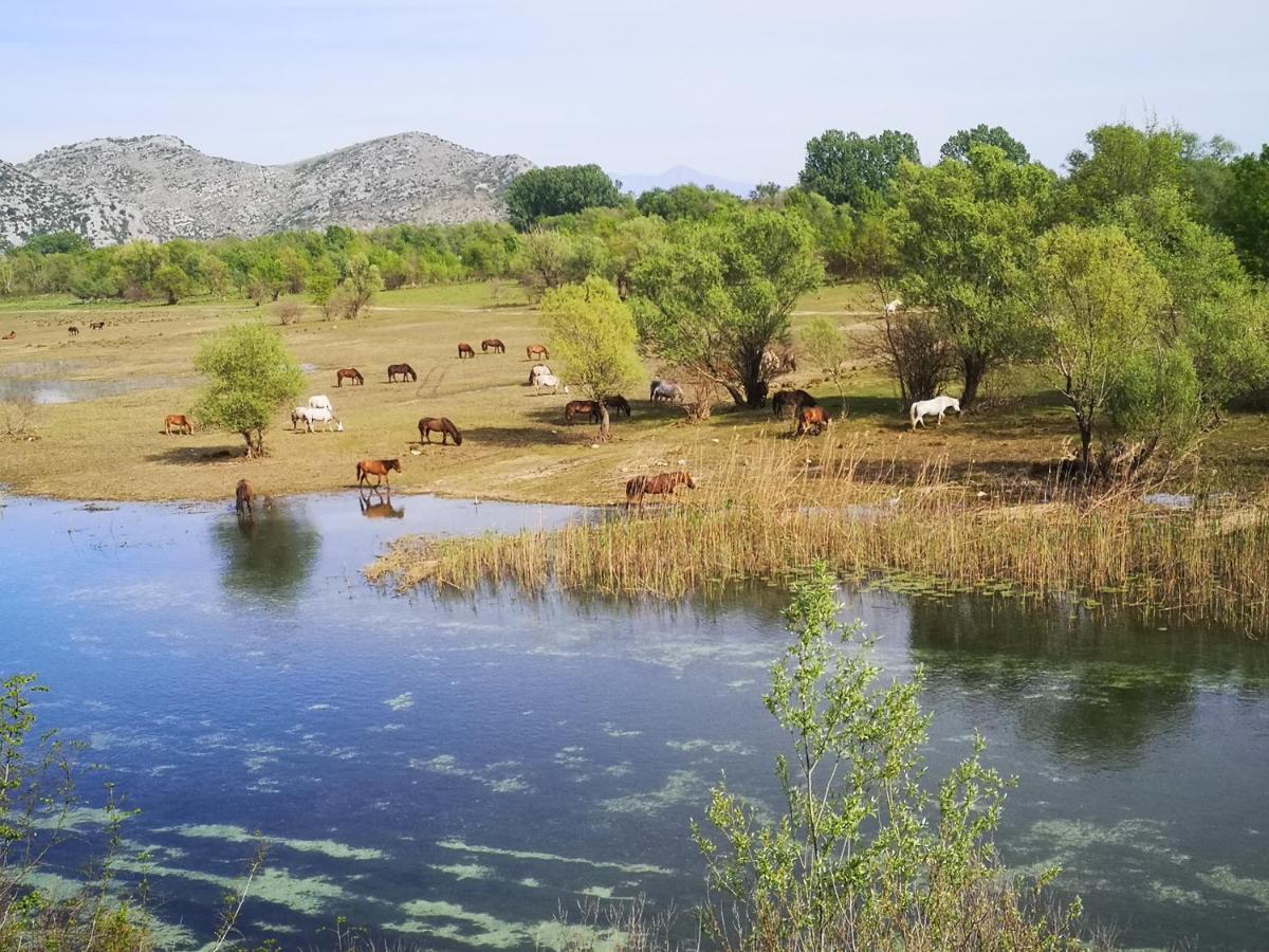 Wild Beauty House Skadar Lake Цетине Экстерьер фото